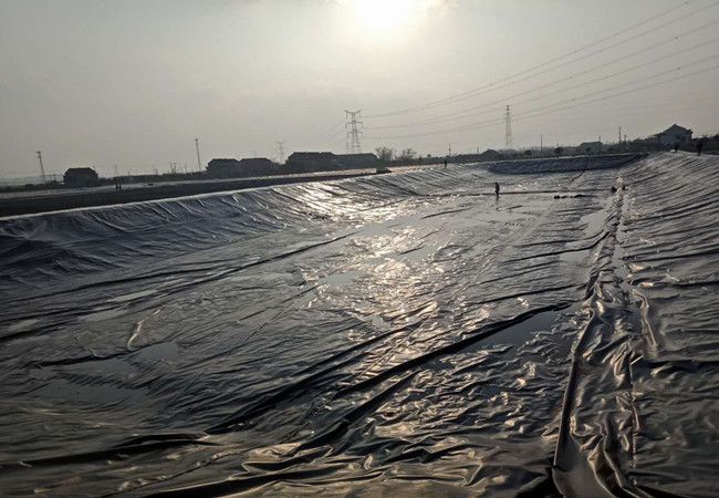 景觀湖現(xiàn)場(chǎng)圖片