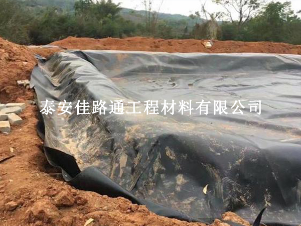 水產(chǎn)養(yǎng)殖戶選擇養(yǎng)殖防滲土工膜：智慧之選，綠色養(yǎng)殖的新篇章