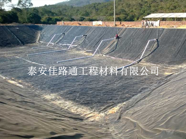 水產(chǎn)養(yǎng)殖防滲膜鋪設(shè)施工技巧：精準(zhǔn)高效，守護(hù)養(yǎng)殖綠洲
