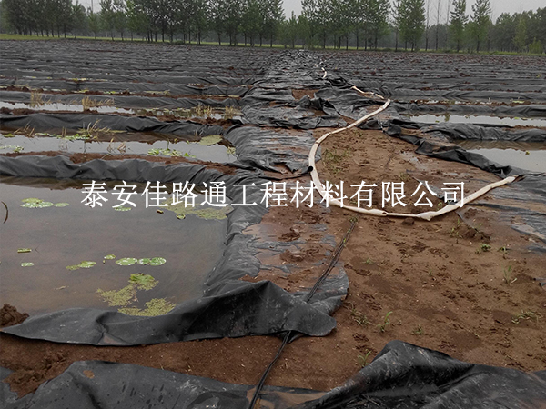 養(yǎng)殖防滲膜養(yǎng)護(hù)別大意，這些方法延長(zhǎng)壽命